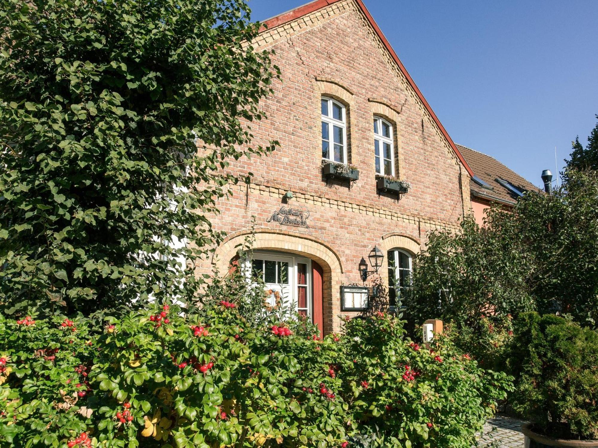 Landhaus Alte Schmiede Niemegk  Exterior photo